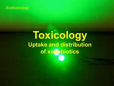 Ecotoxicology Toxicology Uptake and distribution of xenobiotics.