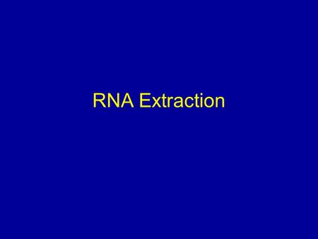 RNA Extraction.