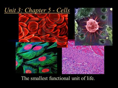 Unit 3: Chapter 5 - Cells The smallest functional unit of life.