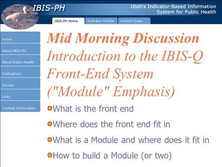 Mid Morning Discussion Introduction to the IBIS-Q Front-End System (Module Emphasis) What is the front end Where does the front end fit in What is a.