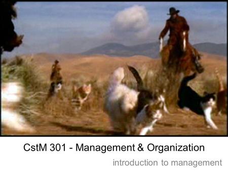 CstM 301 - Management & Organization introduction to management.