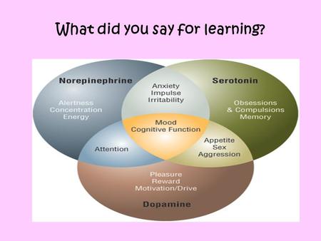 What did you say for learning?. Learning Norepinephrine (alertness, concentration) Dopamine (Reward) In addition: Endorphins Cortisol decreased Adrenaline.