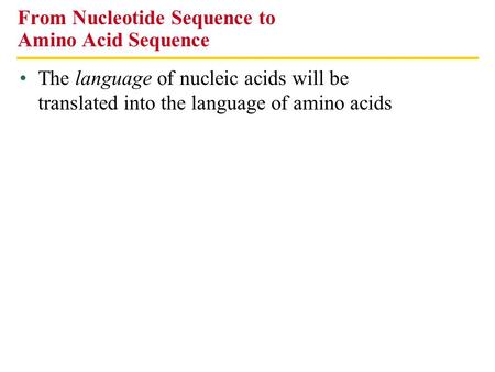 From Nucleotide Sequence to Amino Acid Sequence