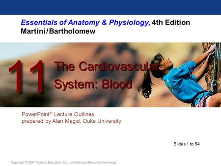 Essentials of Anatomy & Physiology, 4th Edition Martini / Bartholomew PowerPoint ® Lecture Outlines prepared by Alan Magid, Duke University The Cardiovascular.
