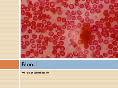 More than just transport… Blood. Functions of Blood 1.Deliver O 2, nutrients to all body cells 2.Transport waste products from cells for elimination 3.Transport.