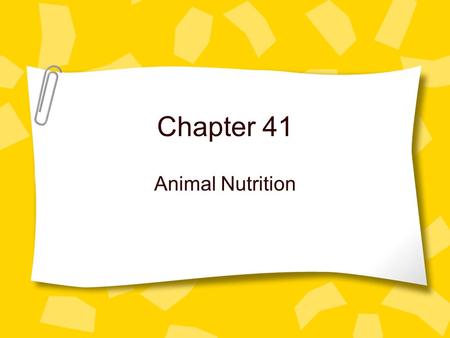 Chapter 41 Animal Nutrition.