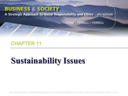 Sustainability Issues