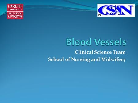 Clinical Science Team School of Nursing and Midwifery.