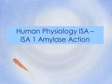 Human Physiology ISA – ISA 1 Amylase Action