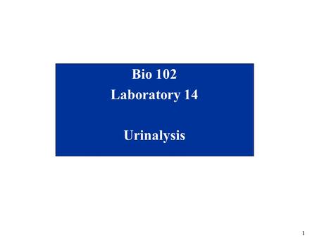 Bio 102 Laboratory 14 Urinalysis