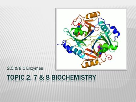 2.5 & 8.1 Enzymes. Read & Consider Understandings 2.5.1-2.5.2 & 8.1.1-8.1.2 1 - ENZYMES Challenge: by changing one letter at a time, get from ‘TREAD’