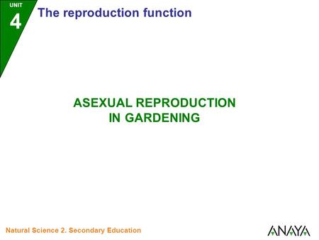 UNIT 4 The reproduction function Natural Science 2. Secondary Education ASEXUAL REPRODUCTION IN GARDENING.