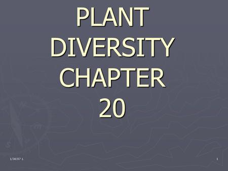 1/30/07 L 1 PLANT DIVERSITY CHAPTER 20. 1/30/07 L2 Warm-up ► Pick up the 3 sheets on your way in 1. What 3 things do all plants need to survive 2. What.
