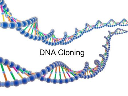 DNA Cloning. Cloning a line of genetically identical cells or individuals derived from a single ancestor produces many copies of a piece of DNA uses a.