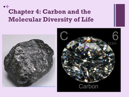 + Chapter 4: Carbon and the Molecular Diversity of Life.