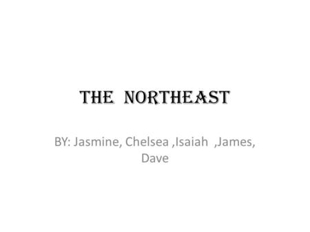 THE NORTHEAST BY: Jasmine, Chelsea,Isaiah,James, Dave.