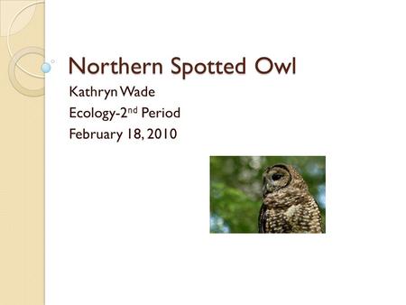 Northern Spotted Owl Kathryn Wade Ecology-2 nd Period February 18, 2010.
