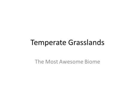 Temperate Grasslands The Most Awesome Biome. Global Distribution The Prairie in the USA The Pampas of South America The Steppes of Eurasia 9 countries.