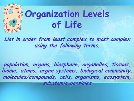 Organization Levels of Life