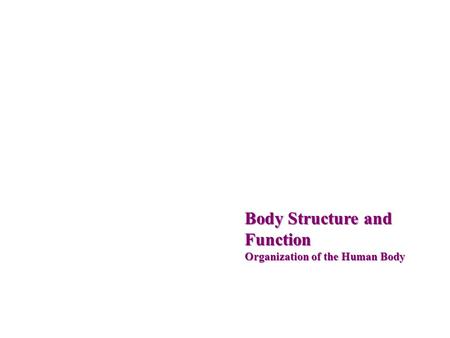Body Structure and Function Organization of the Human Body.