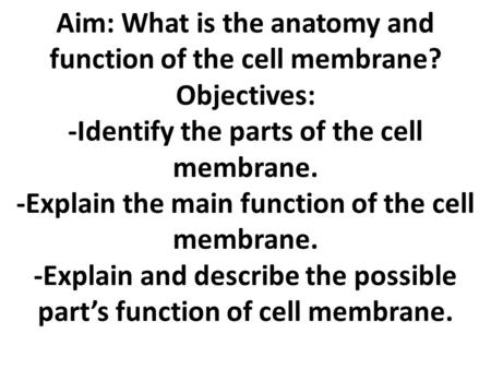 Aim: What is the anatomy and function of the cell membrane