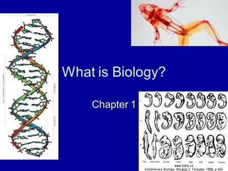 What is Biology? Chapter 1. –Where did plants and animals come from? – How did I come to be? –Humans have tried to answer these questions in different.