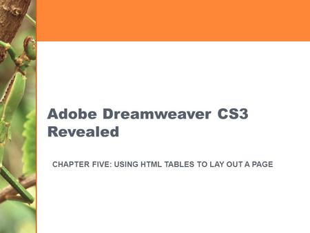 Adobe Dreamweaver CS3 Revealed CHAPTER FIVE: USING HTML TABLES TO LAY OUT A PAGE.