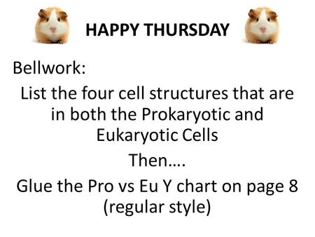 HAPPY THURSDAY Bellwork: List the four cell structures that are in both the Prokaryotic and Eukaryotic Cells Then…. Glue the Pro vs Eu Y chart on page.