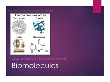Biomolecules WHAT ARE THE BUILDING BLOCKS OF LIFE?