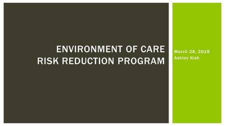 March 26, 2015 Ashley Kish ENVIRONMENT OF CARE RISK REDUCTION PROGRAM.