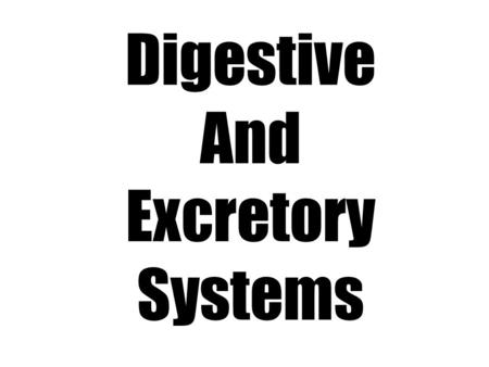 Digestive And Excretory Systems. Digestive System.