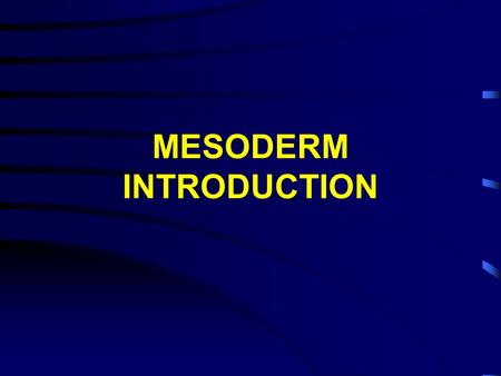 MESODERM INTRODUCTION. (epimere) (hypomere) (mesomere) (nephrotome) Major mesodermal regions Amphibians.