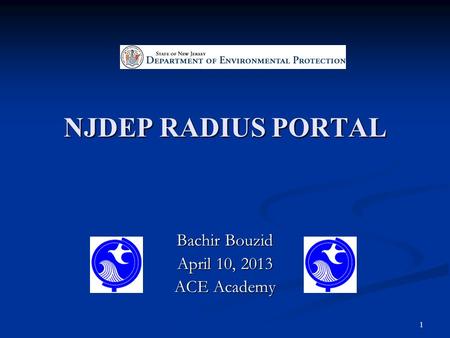 NJDEP RADIUS PORTAL Bachir Bouzid April 10, 2013 ACE Academy 1.