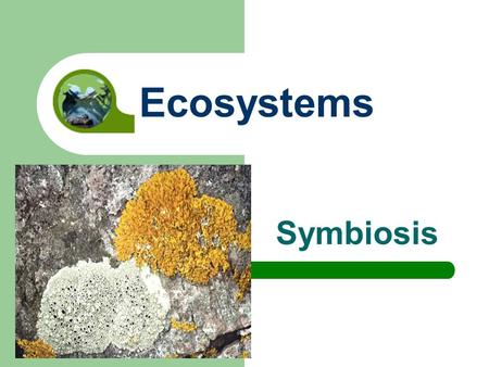 Ecosystems Symbiosis.