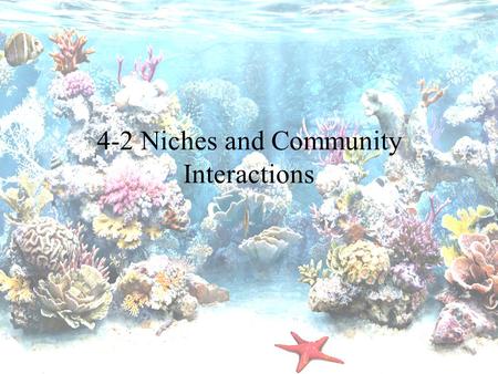 4-2 Niches and Community Interactions