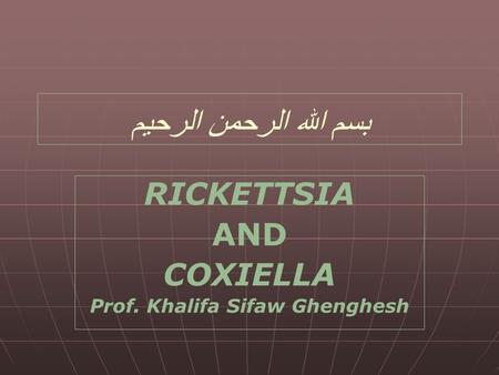 RICKETTSIA AND COXIELLA Prof. Khalifa Sifaw Ghenghesh