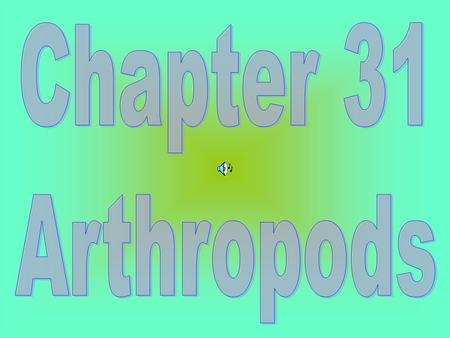Chapter 31 Arthropods.
