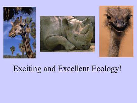 Exciting and Excellent Ecology!. What do you think of when you hear “ECOLOGY”?
