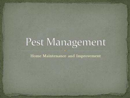 Home Maintenance and Improvement. Discuss common pests in the home Identify the effective pest control programs Discuss the Project each group is going.