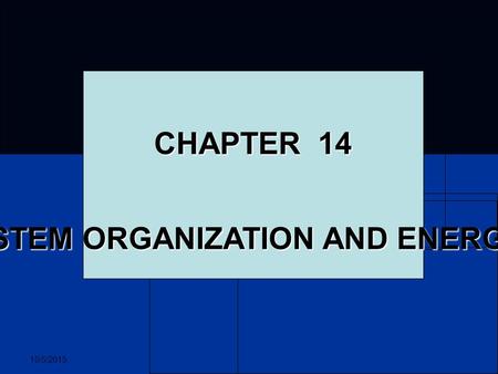 10/5/2015 CHAPTER 14 ECOSYSTEM ORGANIZATION AND ENERGY FLOW.