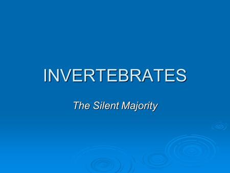 INVERTEBRATES The Silent Majority.