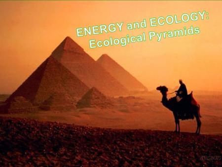 ENERGY and ECOLOGY: Ecological Pyramids.