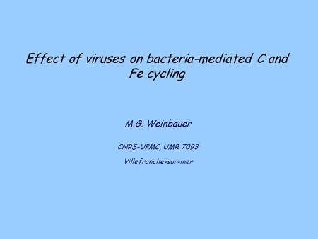 Effect of viruses on bacteria-mediated C and Fe cycling M.G. Weinbauer CNRS-UPMC, UMR 7093 Villefranche-sur-mer.