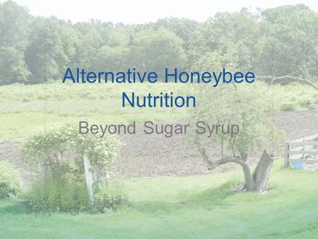 Alternative Honeybee Nutrition Beyond Sugar Syrup.
