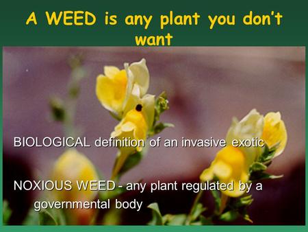 BIOLOGICAL definition of an invasive exotic NOXIOUS WEED - any plant regulated by a governmental body A WEED is any plant you don’t want.