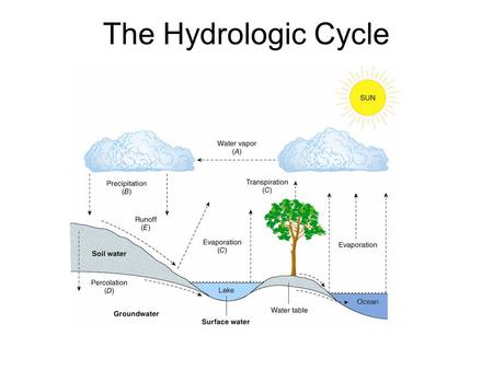 The Hydrologic Cycle. Summary Water is a limited resource. Growers (farmers) have a responsibility to conserve water. Water can be conserved by capturing.