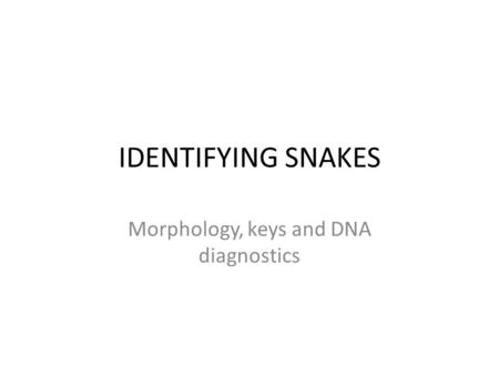 Morphology, keys and DNA diagnostics
