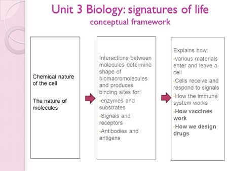 Unit 3 Biology: signatures of life conceptual framework
