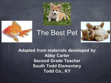 The Best Pet Adapted from materials developed by Abby Carter Second Grade Teacher South Todd Elementary Todd Co., KY.