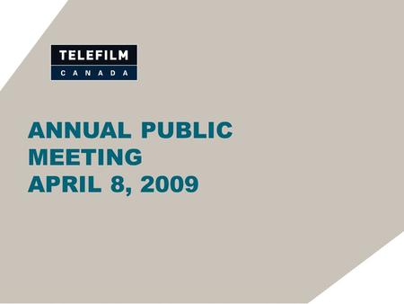 ANNUAL PUBLIC MEETING APRIL 8, 2009. MR. MICHEL ROY CHAIR OF THE BOARD.